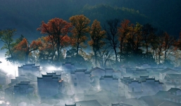 Trung Quốc ngàn hoa đua sắc khoe hương